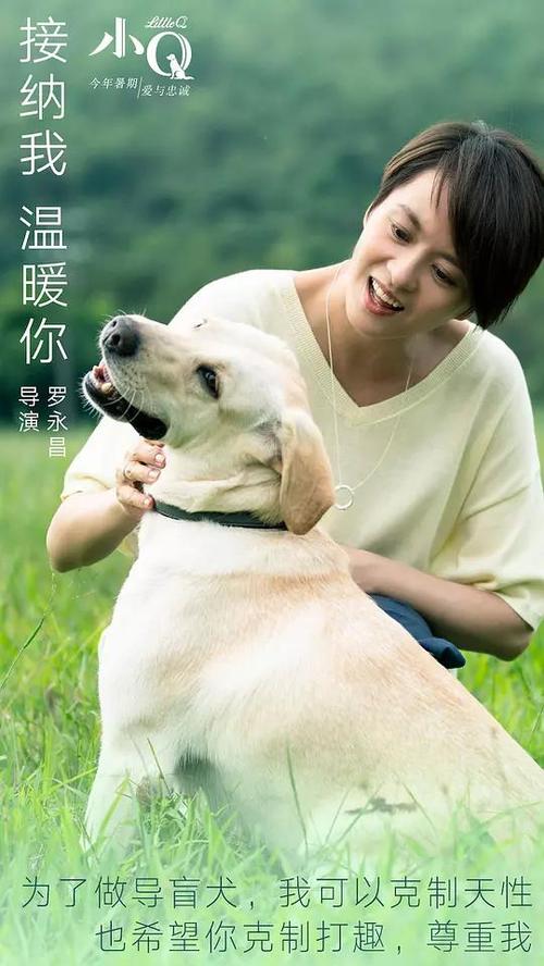 韩国安养大学文凭毕业证样本资料